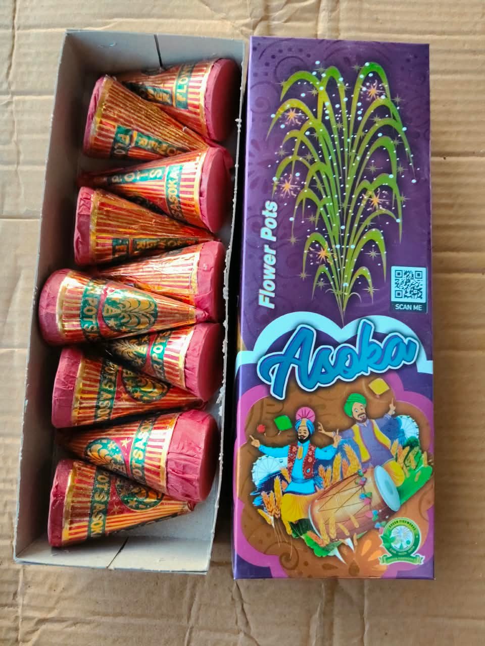 Flower Pot Asoka